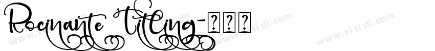 Rocinante Titling字体转换